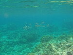 DSCN05249