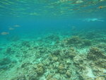 DSCN05250