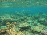 DSCN05251