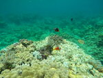 DSCN05252