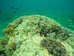 DSCN05253