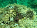 DSCN05254