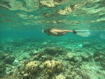 DSCN05256