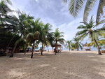 DSCN05342