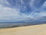 DSCN05357