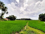 DSCN05379