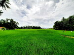 DSCN05380
