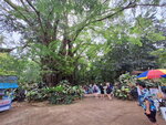 DSCN05382