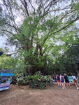 DSCN05383