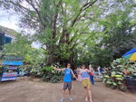 DSCN05384