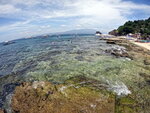 DSCN05592
