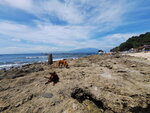 DSCN05745