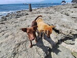 DSCN05746