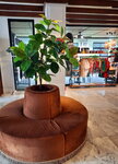 DSCN05794