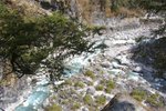 IMG_0247