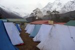 IMG_0460