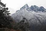 IMG_0470