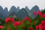 IMG_0625