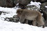IMG_1565