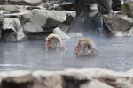 IMG_1579