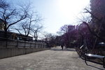 IMG_4250