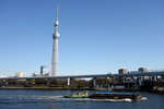 IMG_4254