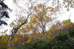DSC02286