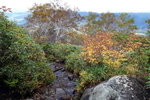 DSC02287