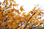 DSC02292