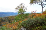 DSC02305