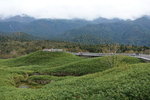 DSC02892