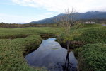 DSC02896