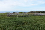 DSC02908