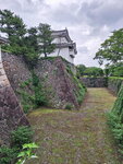 DSCN05369