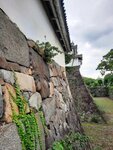 DSCN05370