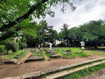 DSCN05398