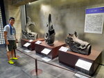 DSCN05427