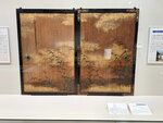 DSCN05432