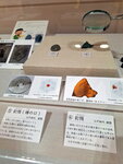 DSCN05448