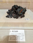 DSCN05450
