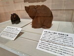 DSCN05451