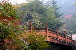 Dscn0332