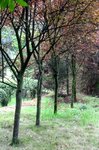 Dscn0337