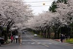 IMG_0154