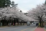 IMG_0155