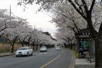 IMG_0161
