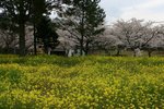IMG_0166