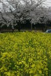 IMG_0167