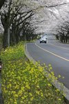 IMG_0170