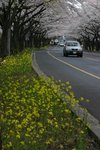 IMG_0171